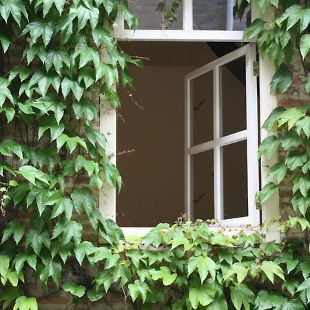 De Hemel De Kracht Ambacht 奈梅亨