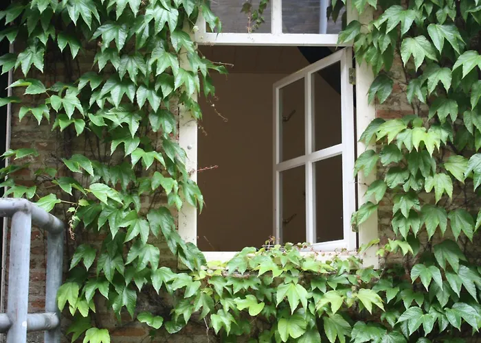 De Hemel De Kracht Ambacht 奈梅亨