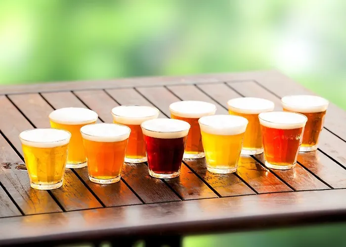 宾馆 De Hemel De Kracht Ambacht 3*